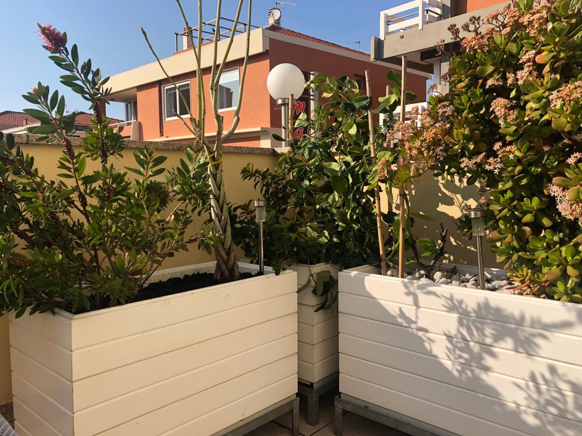 B&B Borgo Marina Бордигера Экстерьер фото